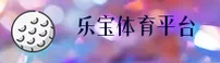 使用指南与常见问题